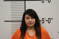Mugshot of SPANG, SHARON ANN