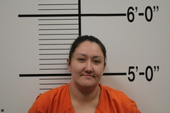Mugshot of STANDSOVERBULL, NIA J