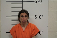Mugshot of PHATTAVONG, TERESA RAE