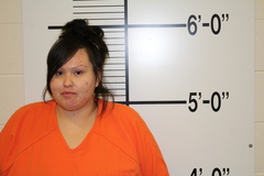ALEXIS LEE JOHNSON