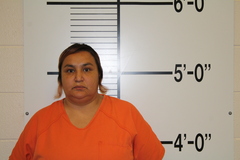 Mugshot of MARCEAU, CRYSTAL ANN