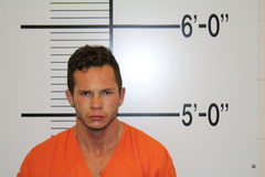 Mugshot of TAYLER, TRAVIS ALAN