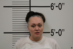 Mugshot of BAHR, VANESSA TOPAZ
