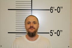 Mugshot of PALMER, CODY ANDREW