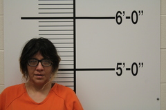 Mugshot of DUBRAY, CRYSTAL LEEANN