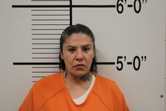 Mugshot of RIDESATTHEDOOR, TONYA JEAN