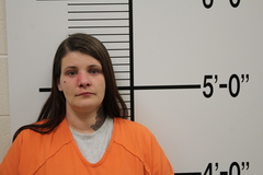 Mugshot of WRIGHT, MELISSA RENAE